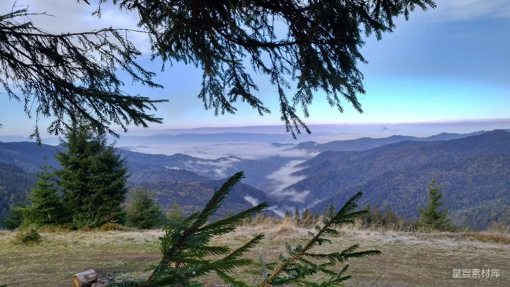 白天草地上有水体附近的场景