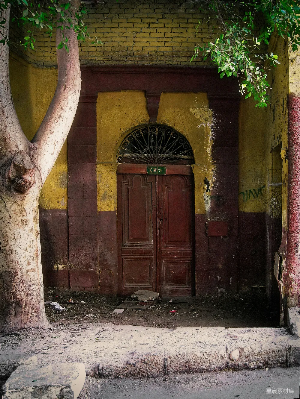 高清摄影  一座旧建筑，前面有一扇门和一棵树。