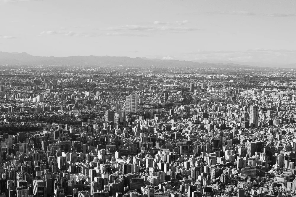 一张黑白照片中的大都市