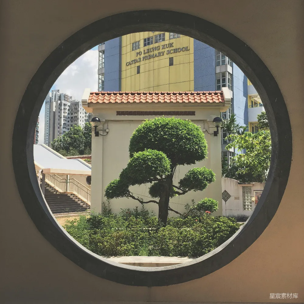 高清摄影  棕色和白色的混凝土建筑