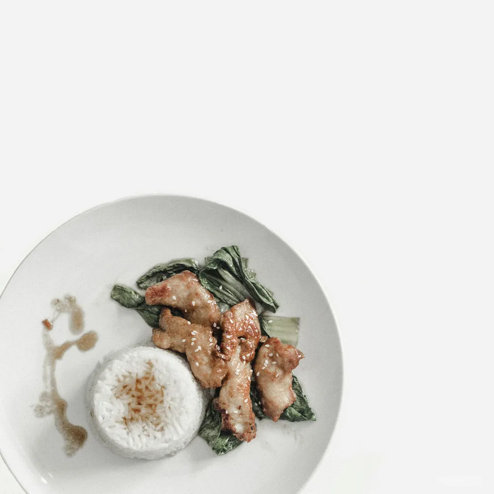 高清摄影  米饭炖肉