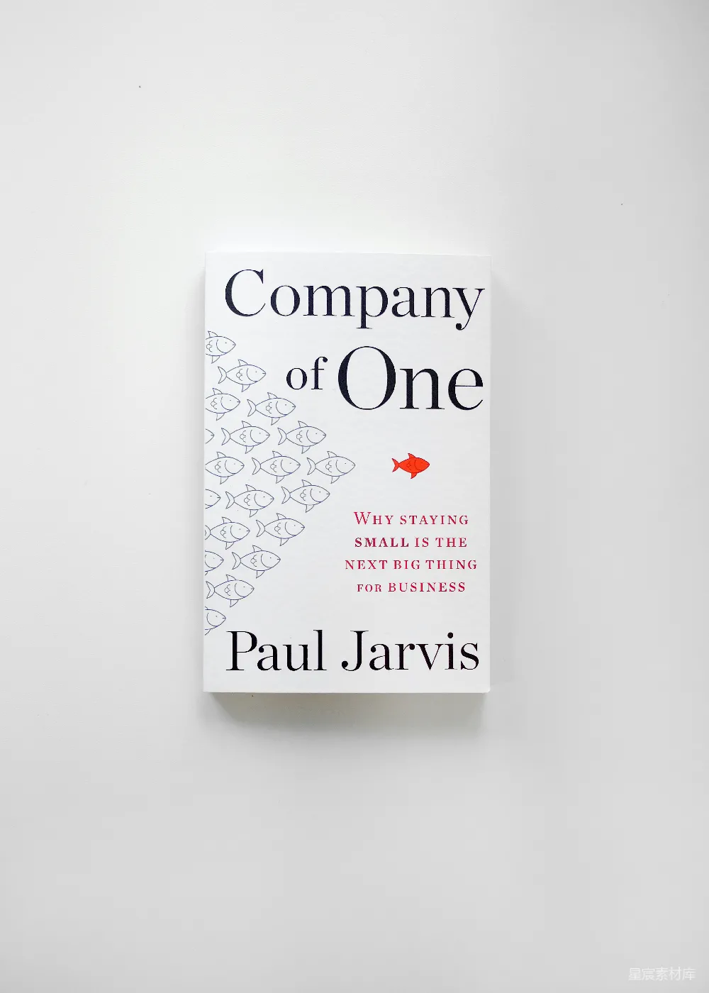 高清摄影  《独自一人的公司》（Company of One）一书的复印件
