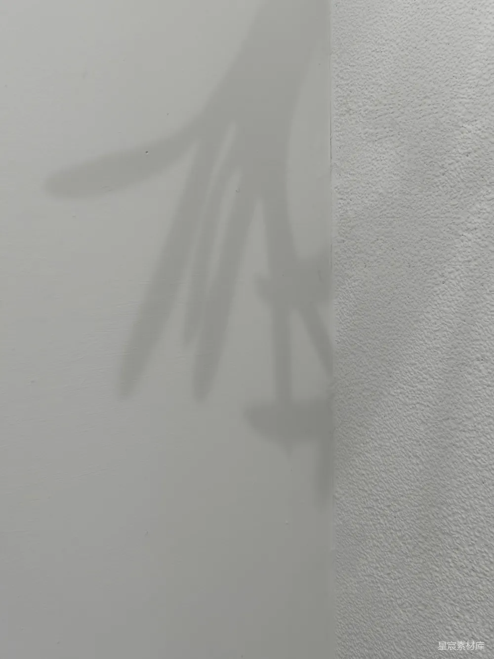 高清摄影  手影和植物的影子在墙上