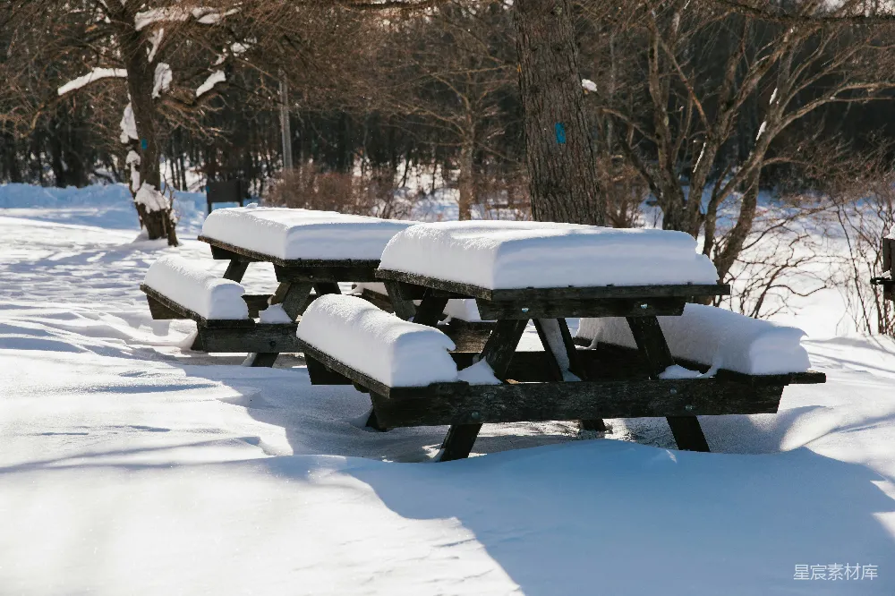高清摄影 公园里一排排覆盖着白雪的长椅