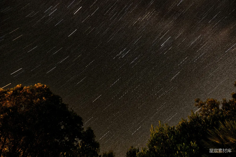 夜空布满了星辰和树木