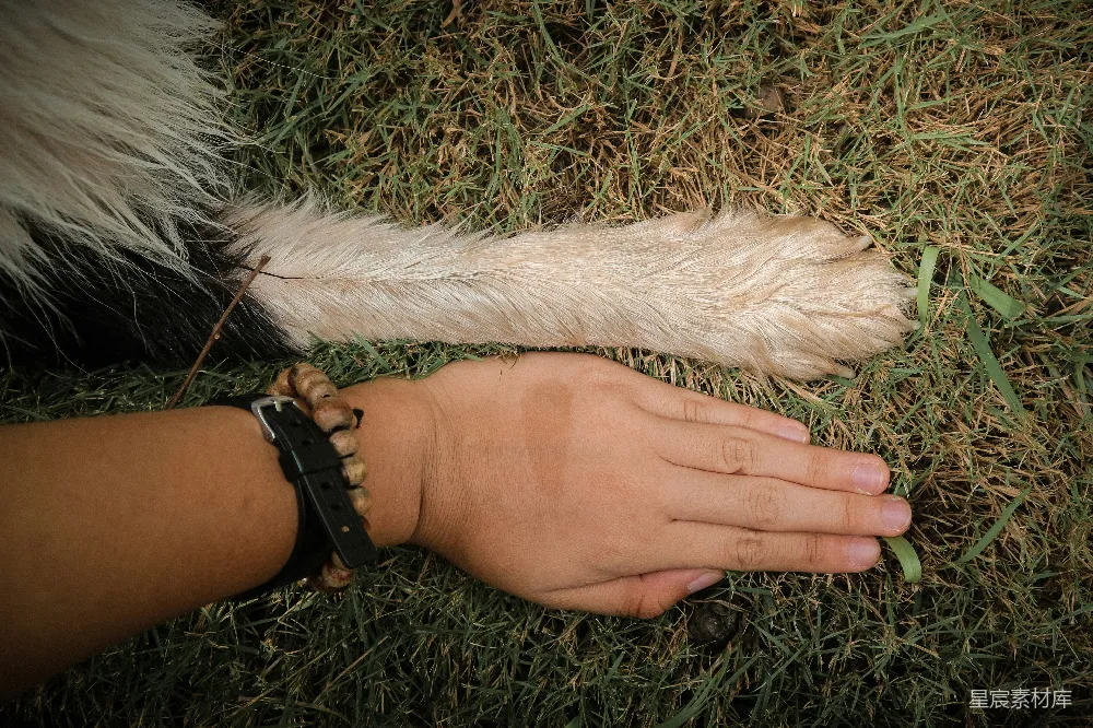手部特写摄影