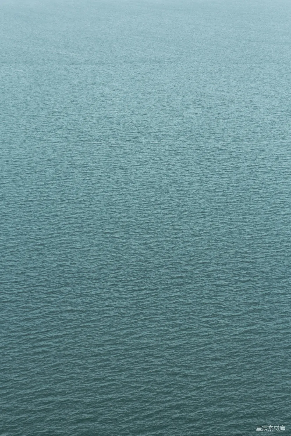 一池水