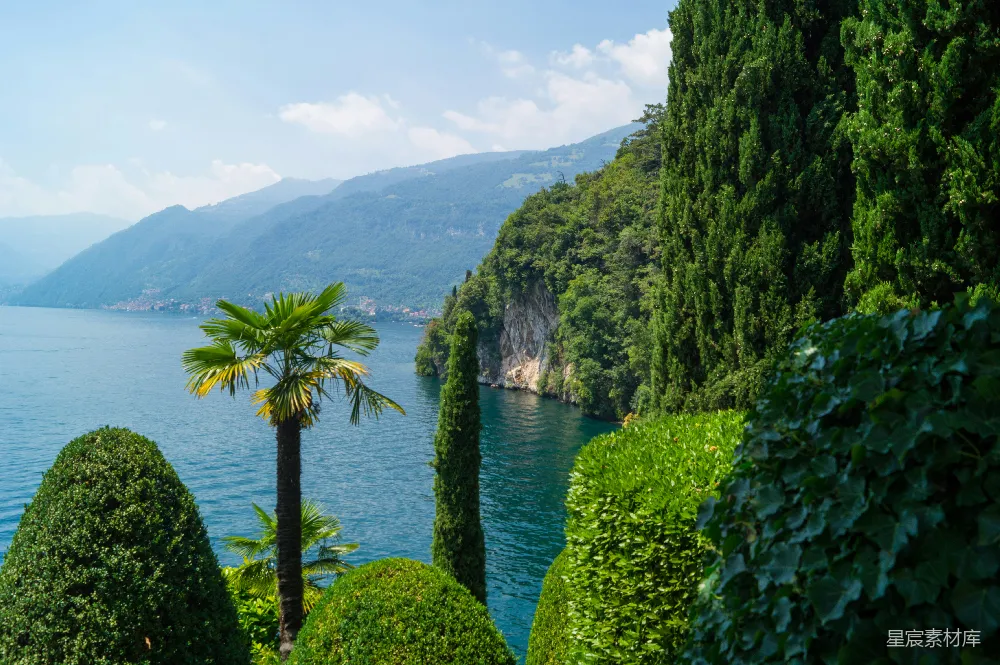 绿叶丛中的悬崖与海景 landscape