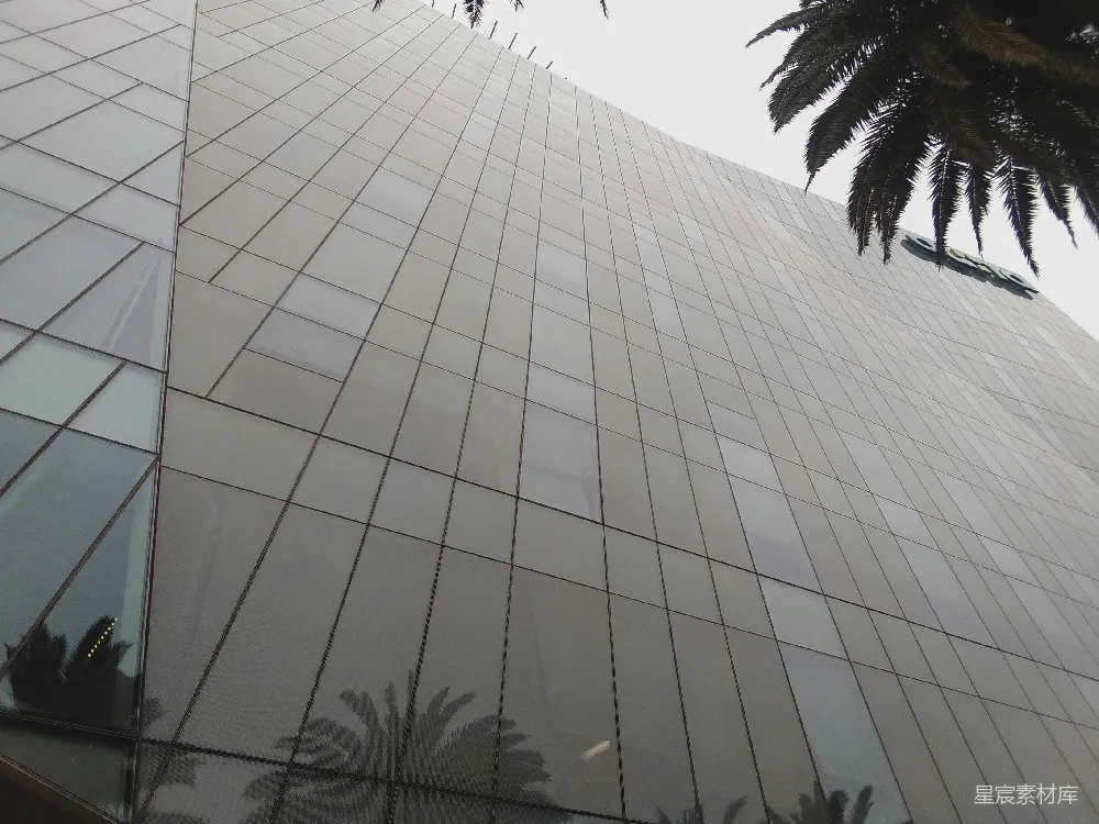 高清摄影  现代玻璃建筑，棕榈树倒影。