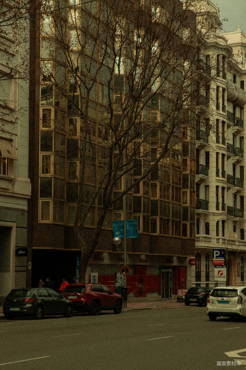 高清摄影  一条城市街道，有建筑物、汽车和一棵光秃的树。