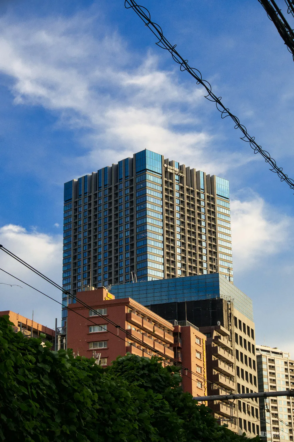 高清摄影  现代摩天大楼被老建筑和绿植环绕。