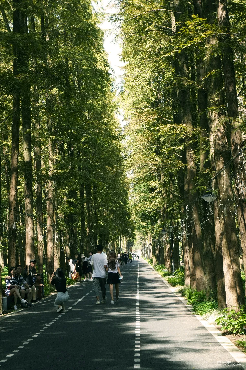 一群人在一条树荫覆盖的小路上行走