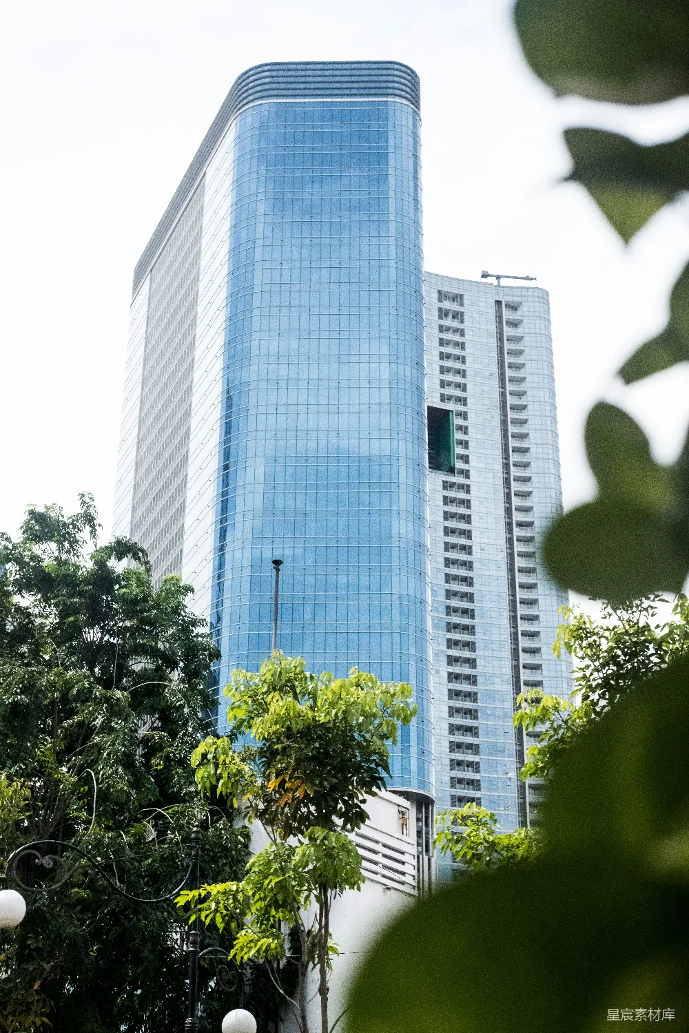 高清摄影  白天高耸建筑旁的绿树