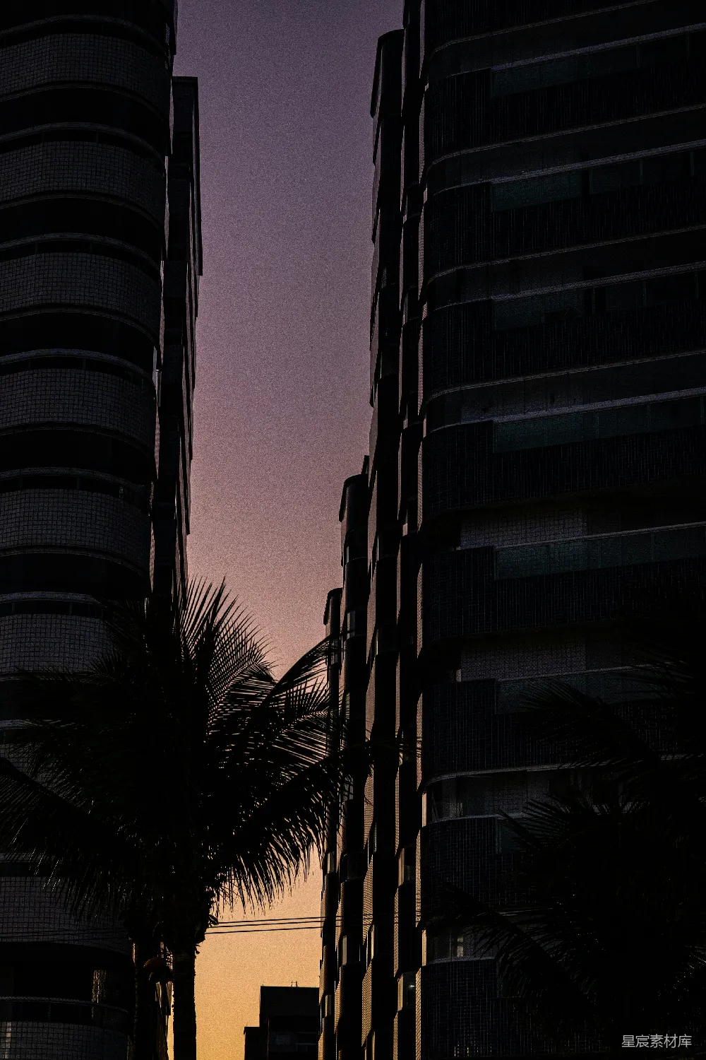 高清摄影  剪影中的建筑物和棕榈树在夕阳下的天空中。