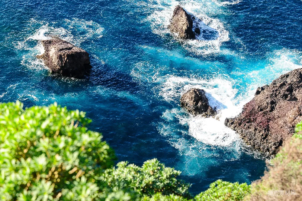 绿植环绕的岩石海岸