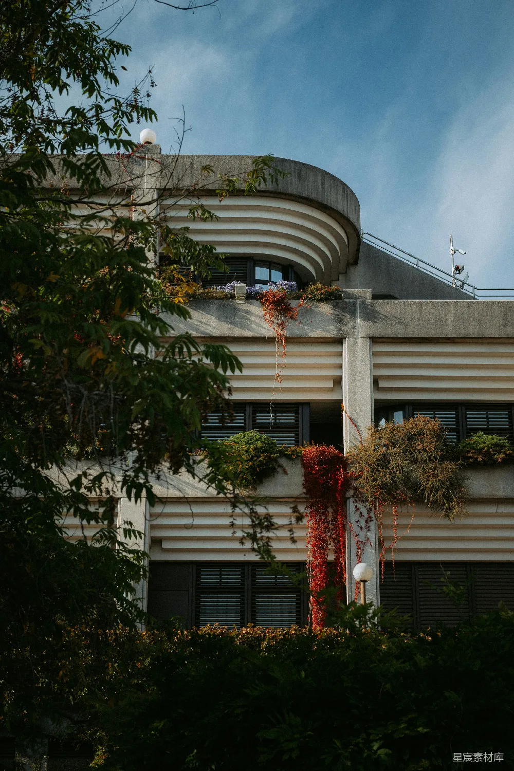 高清摄影  现代建筑，阳台上种有植物。