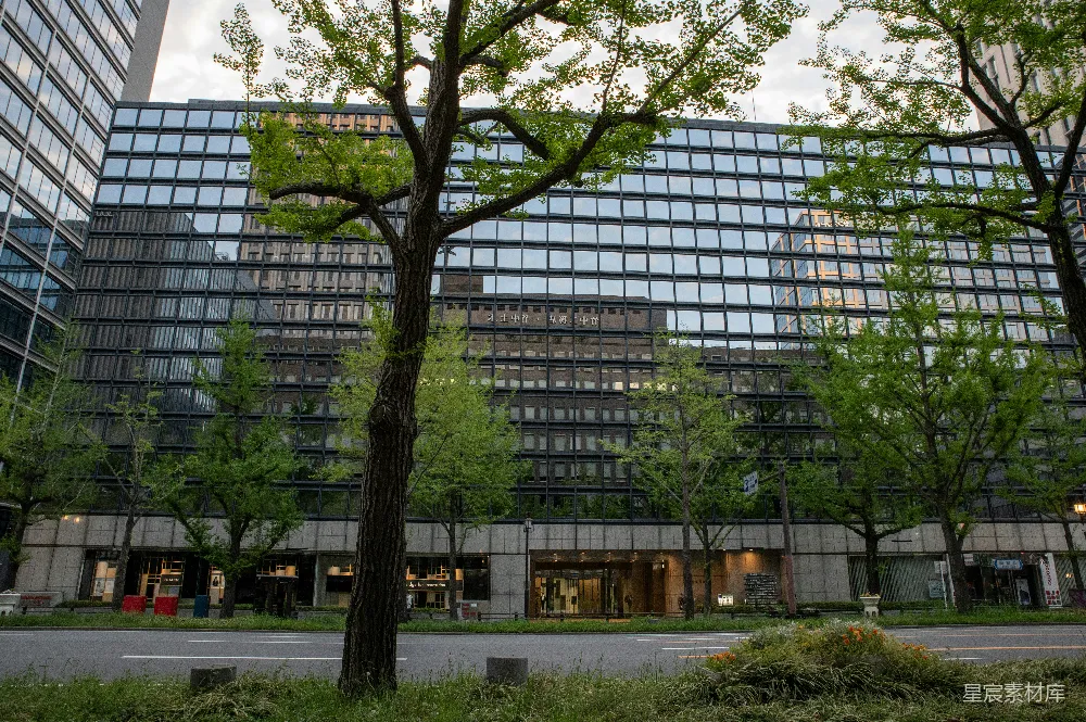 高清摄影  前景中有树木和街道的现代化玻璃建筑