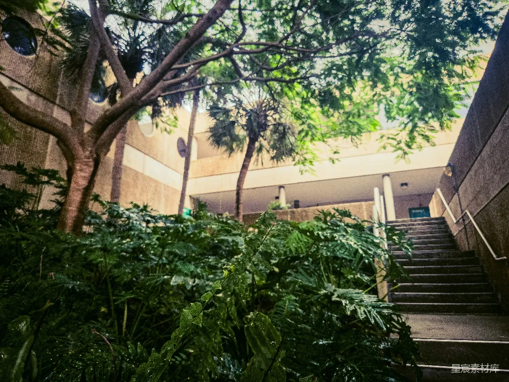 高清摄影  绿地和通向建筑物的楼梯