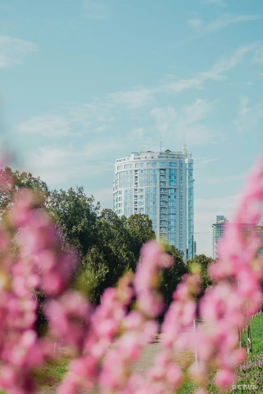 高清摄影  现代玻璃建筑后是绿树和粉红的花朵。