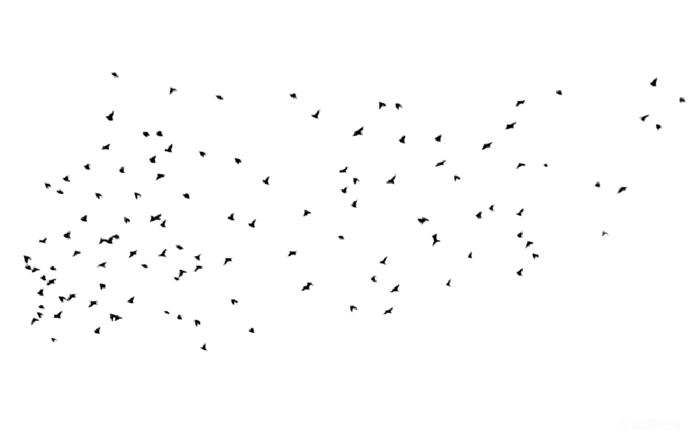 元素素材 鸟
