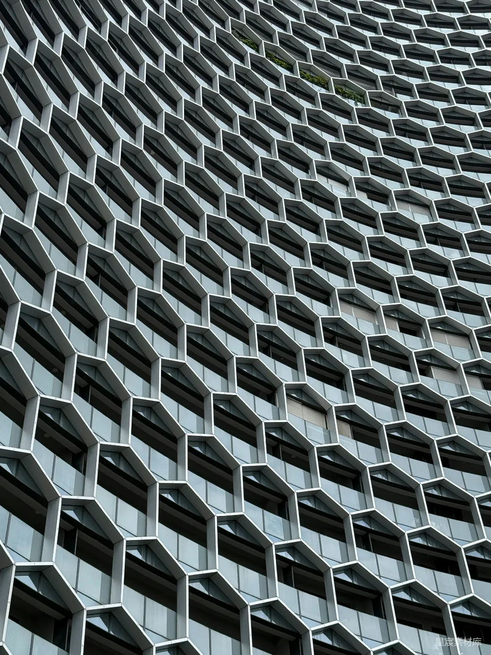 高清摄影  现代建筑立面，带有六边形窗户图案