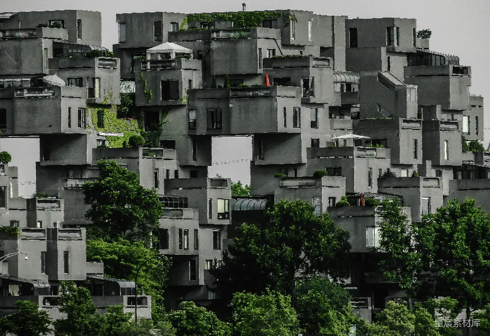 高清摄影  靠近树木的灰色高层建筑
