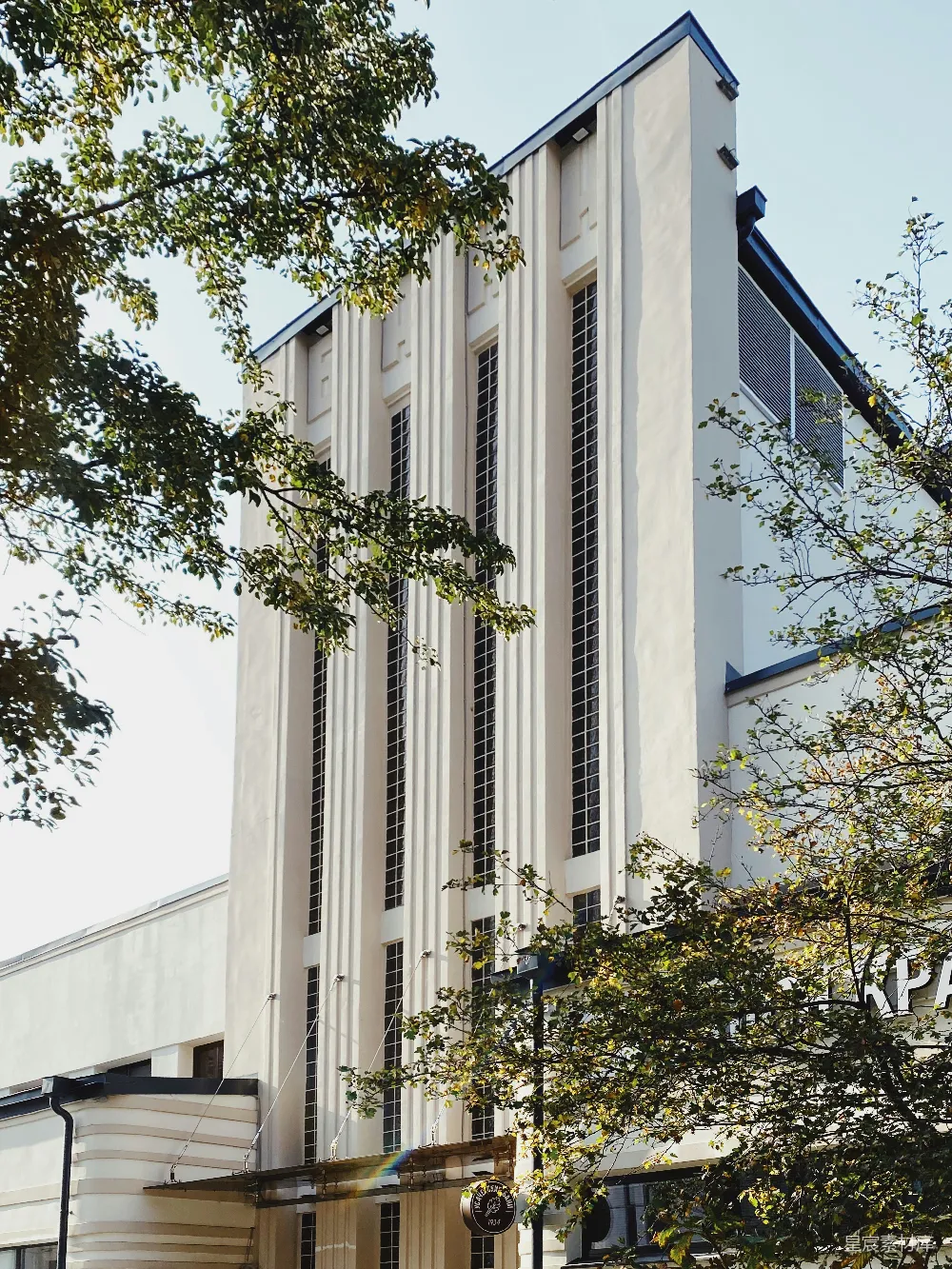 高清摄影 自然 壁纸 白天绿树旁的白色混凝土建筑