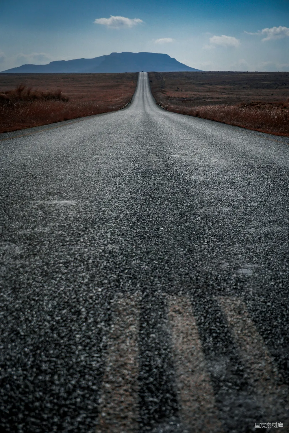 高清摄影  白天草地之间的灰色道路