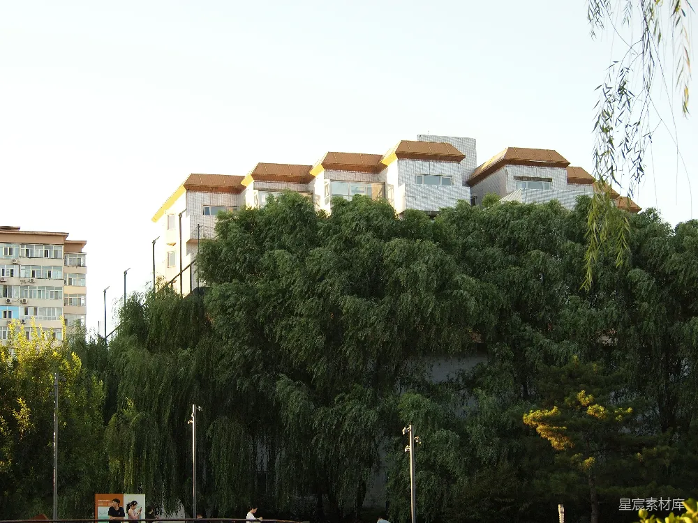 公寓建筑隐匿在茂密的绿树之后。