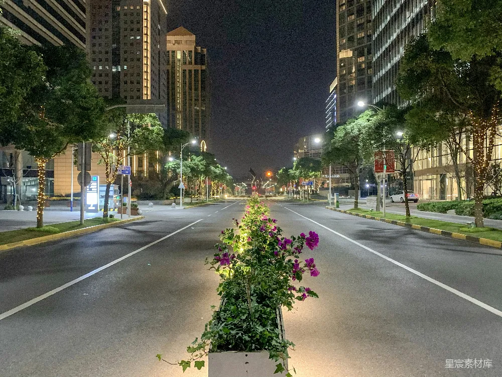 高清摄影  一条夜间的城市街道，路旁有一个花盆。