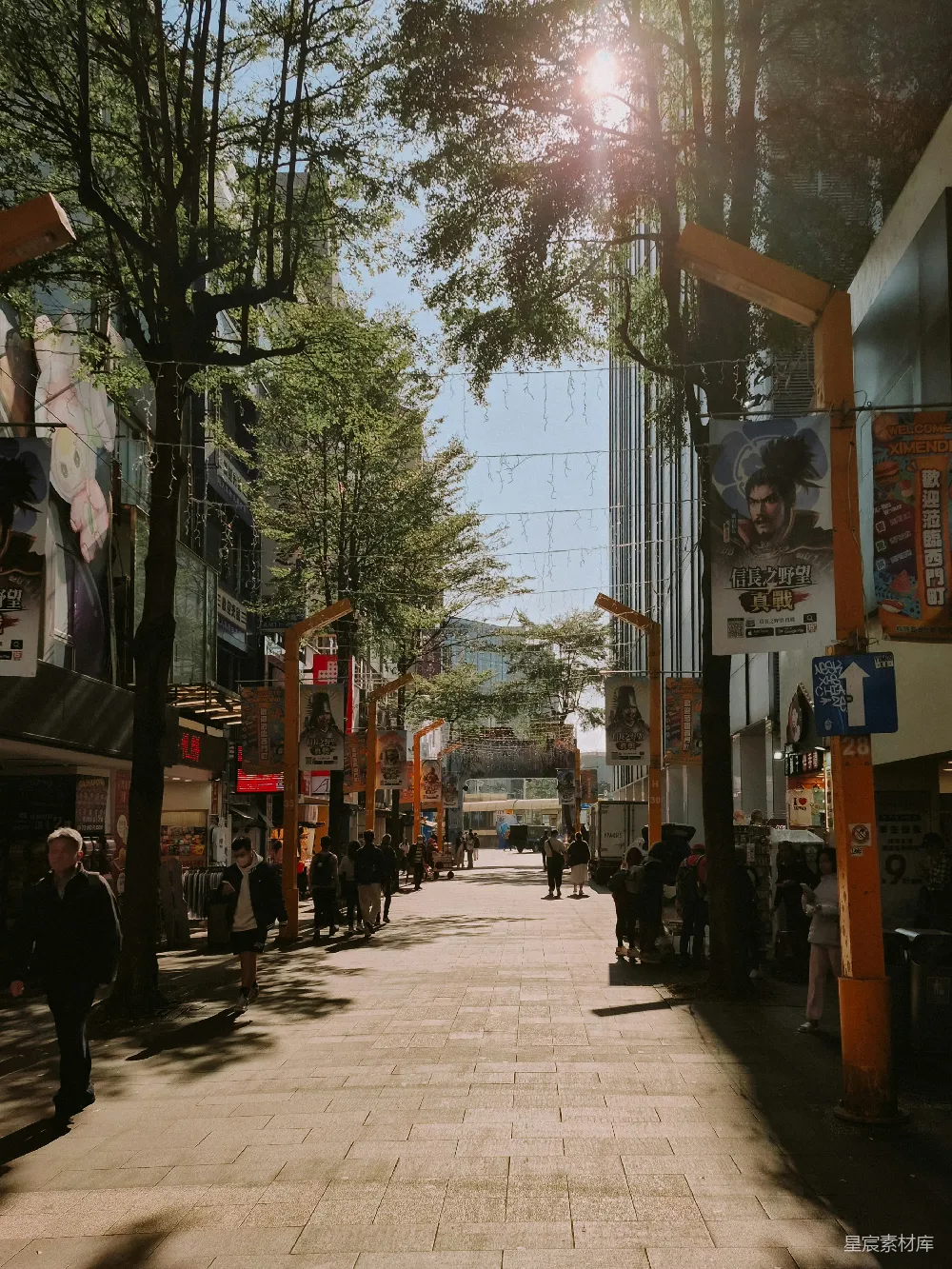 高清摄影  阳光洒在一排树木掩映的繁忙城市街道上。