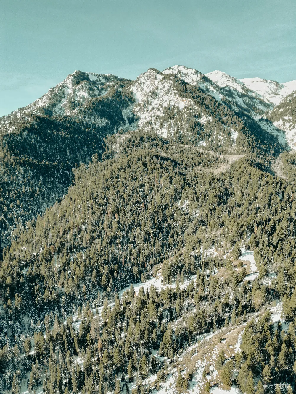 一座覆盖着白雪的山峰，前景有树木。