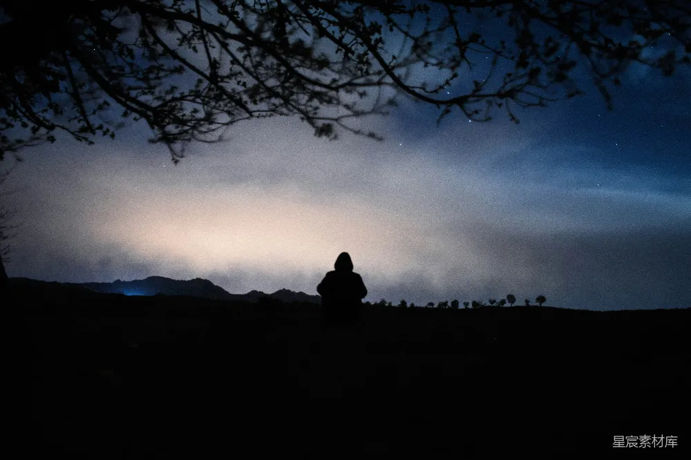 夜晚树下站立的人