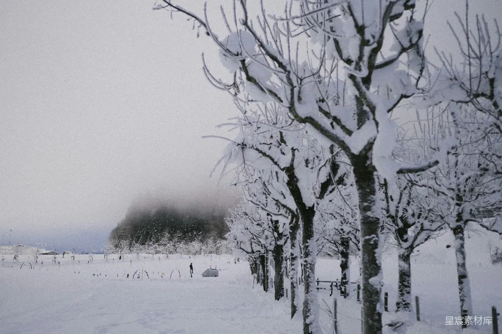 前景中有一片覆盖着白雪的田野。