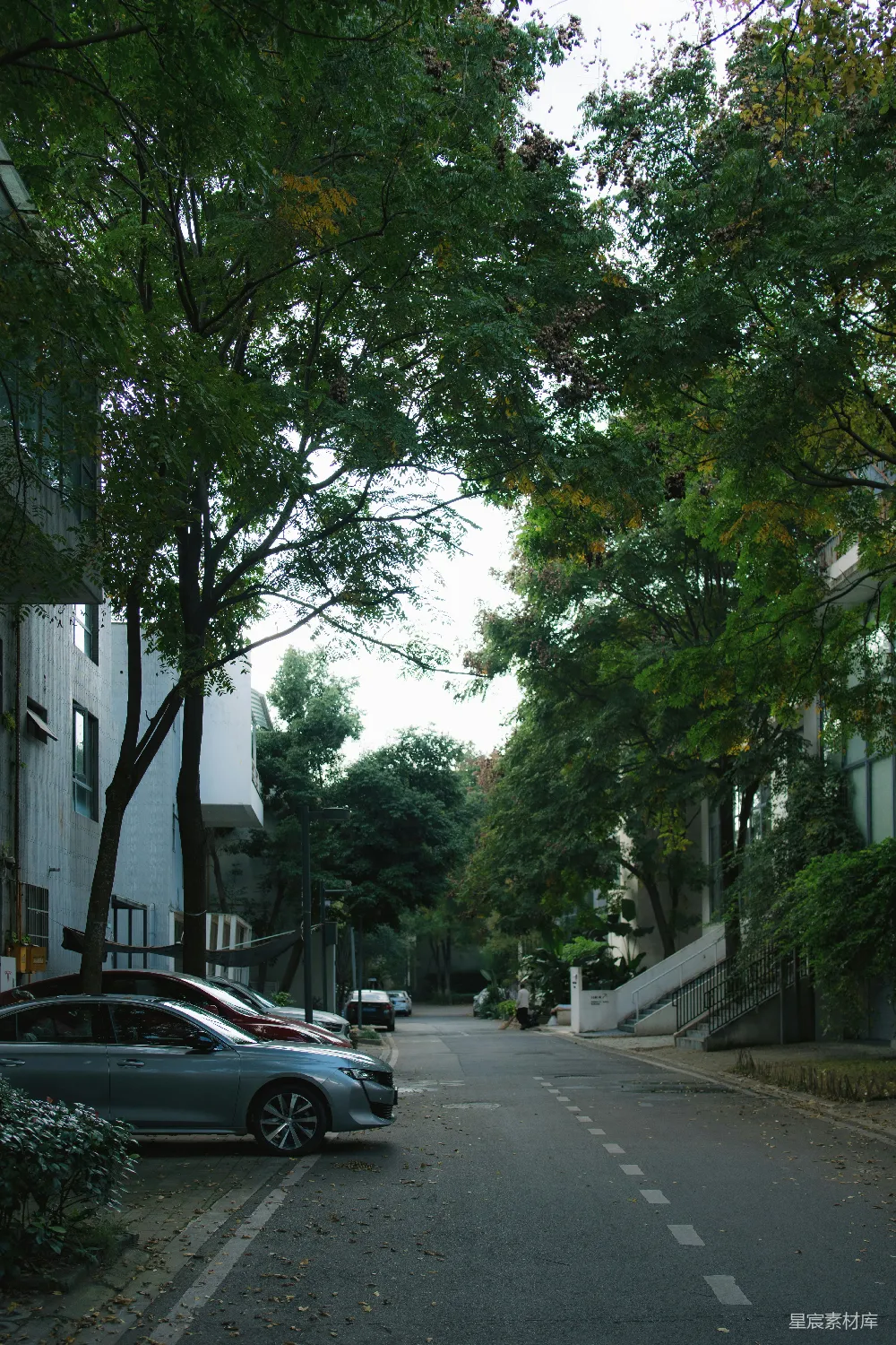 高清摄影  街道两旁排列着树木、建筑物和停着的汽车。
