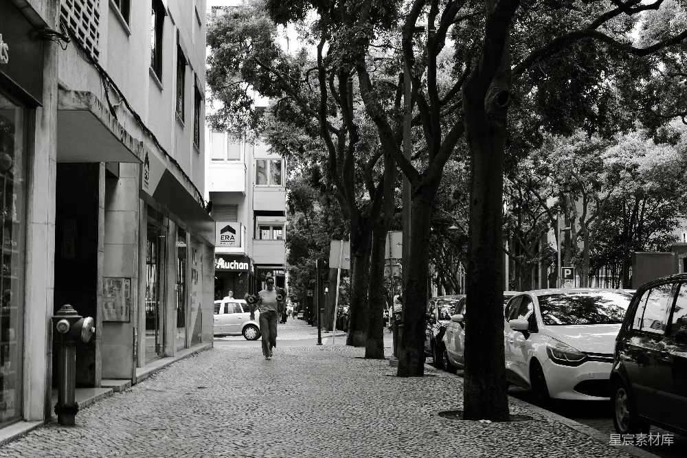 一个人走在有 parked cars 的树影斑驳的城市小径上。