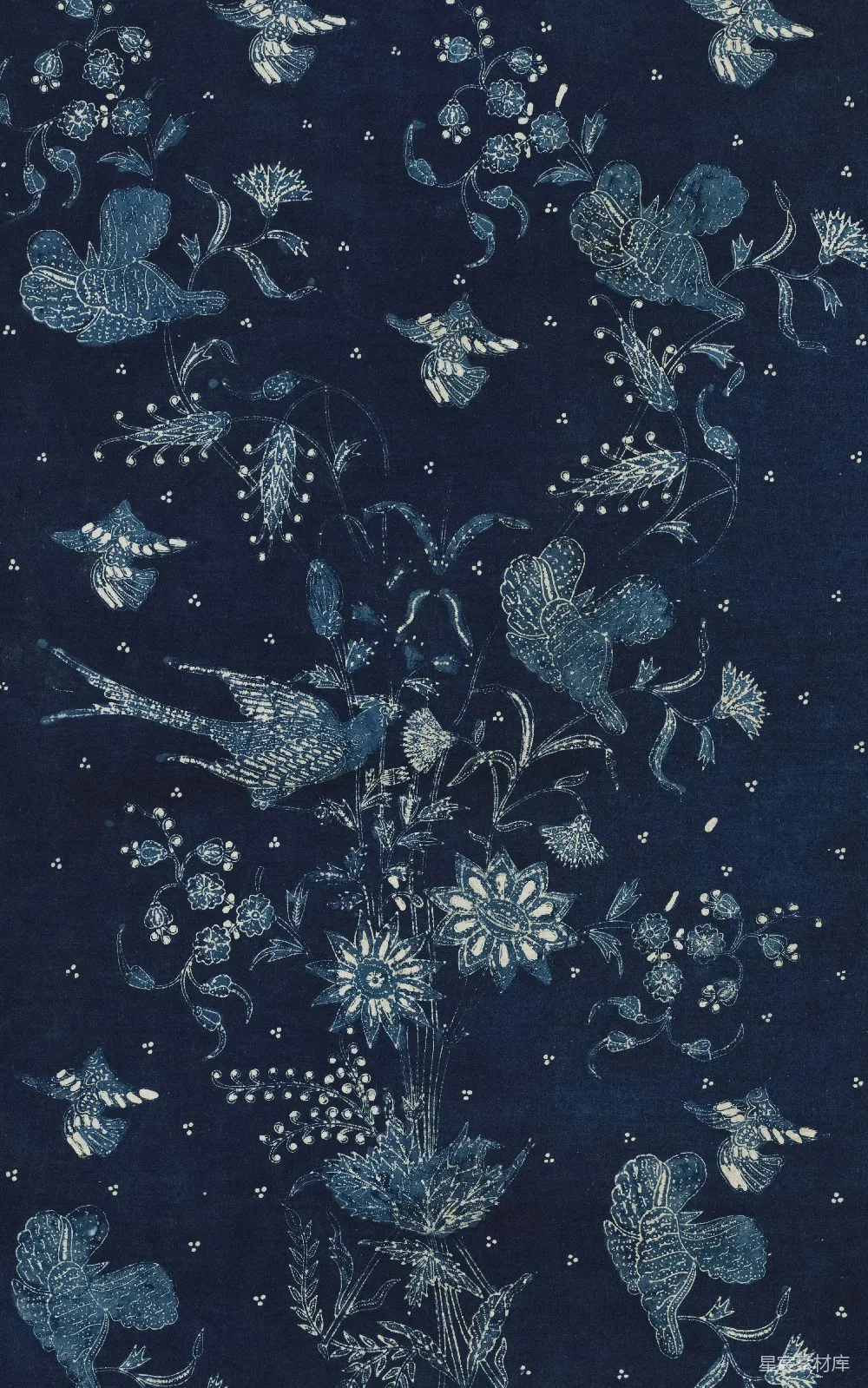 高清摄影  一幅带有蓝色背景的花鸟画