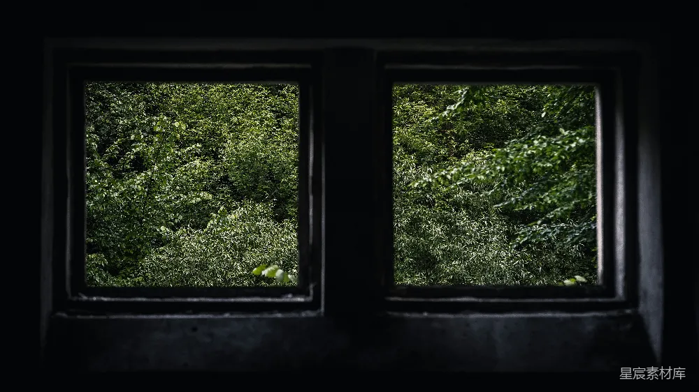 窗前绿树