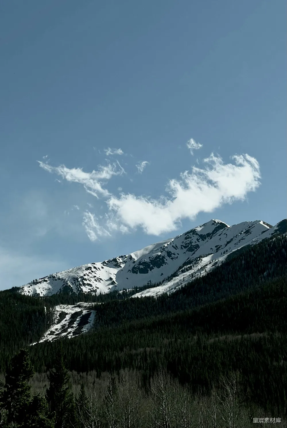 覆盖着白雪的山峦，前景中有树木。