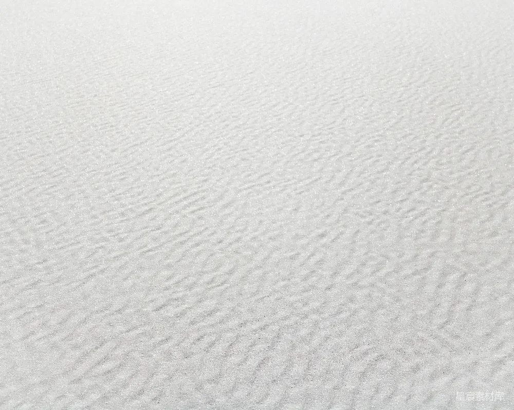 高清摄影  一片白色景观中的一棵孤树