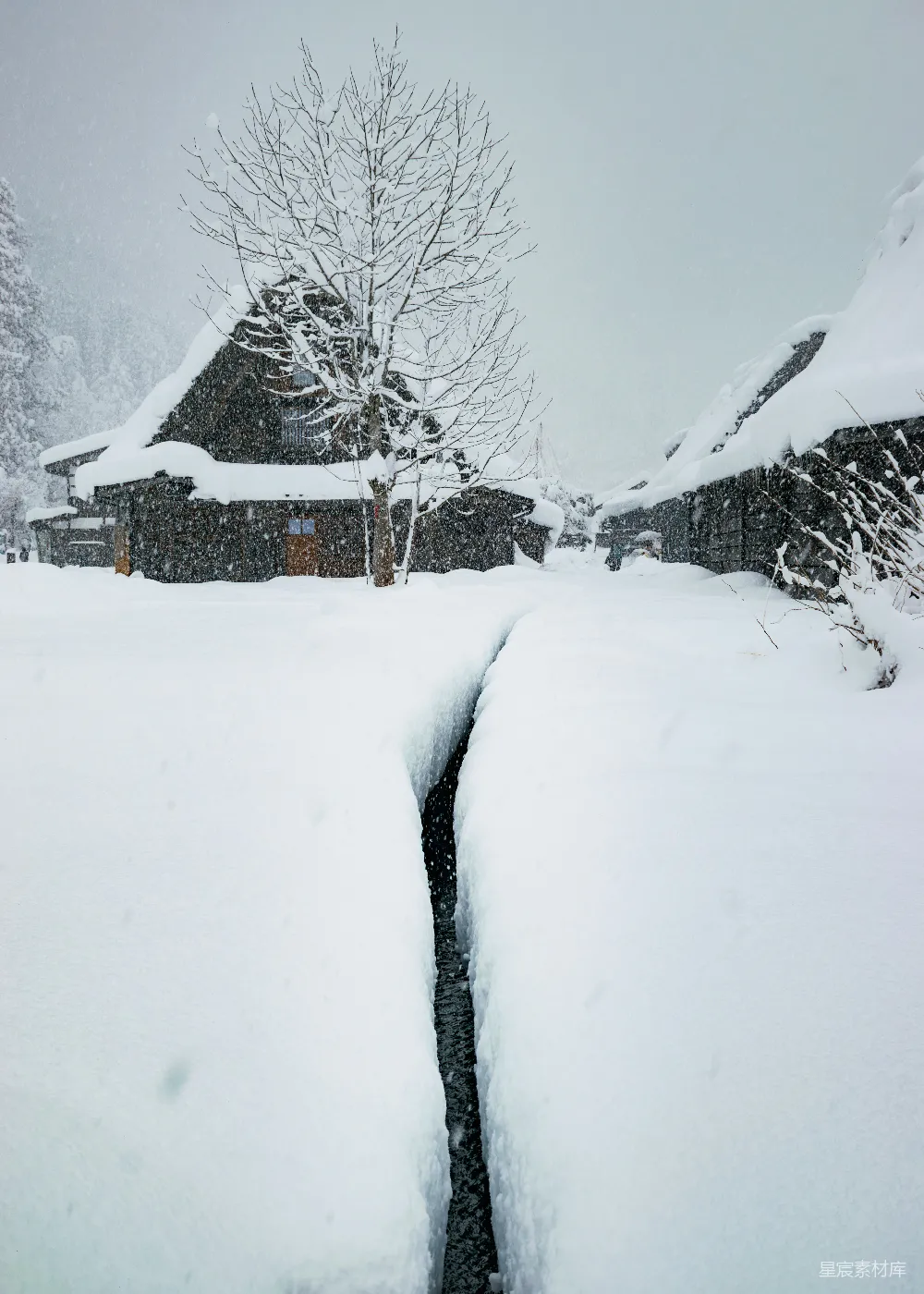 高清摄影 自然 一条被雪覆盖的小路，背景中有一座房子。