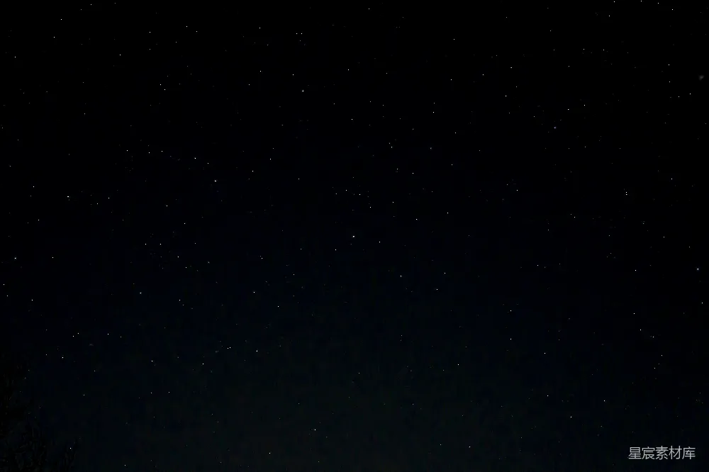 高清摄影  一个星空下，前景是星星和树木。