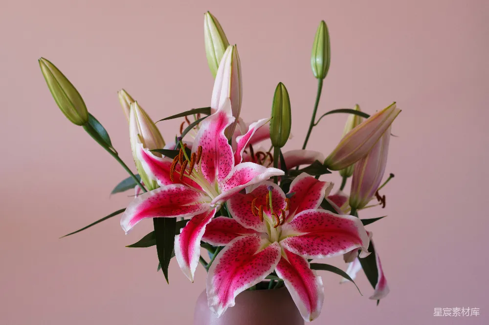 一 vase 填充着 粉色 和 白色 的 花朵