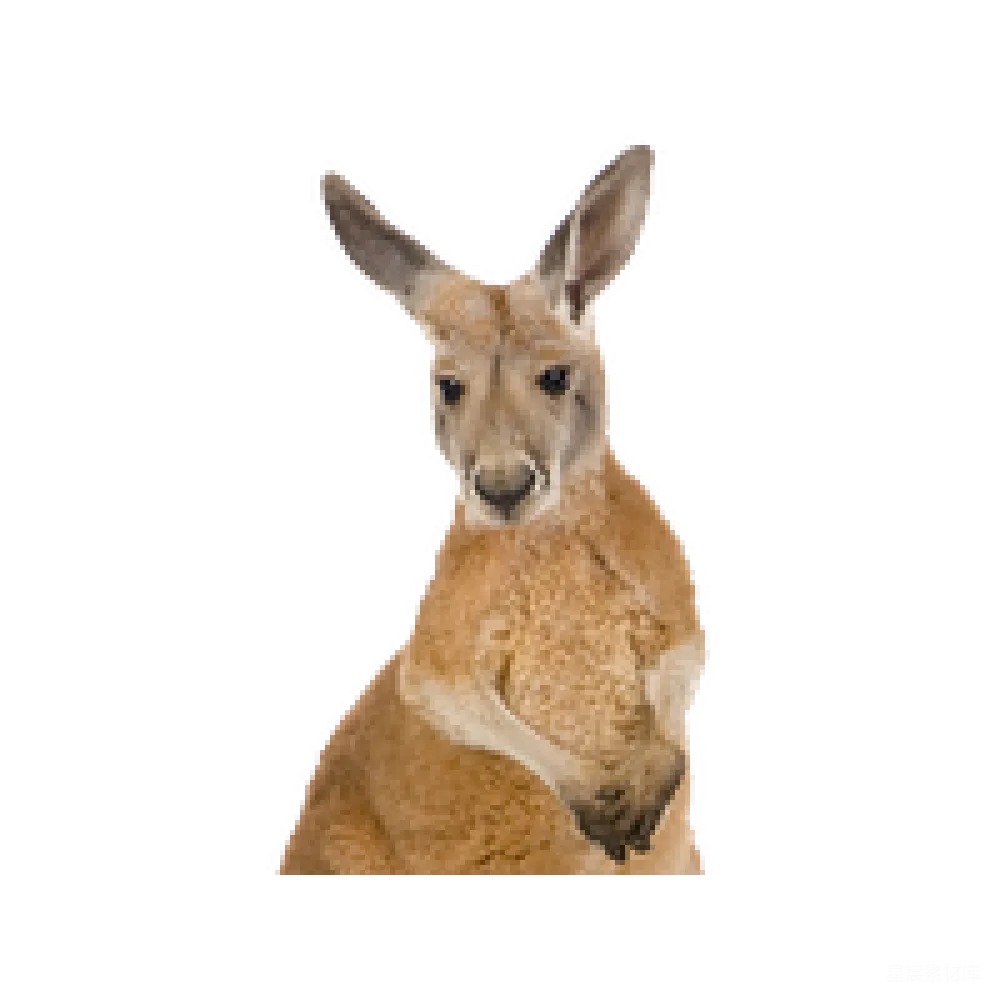 元素素材 PNG