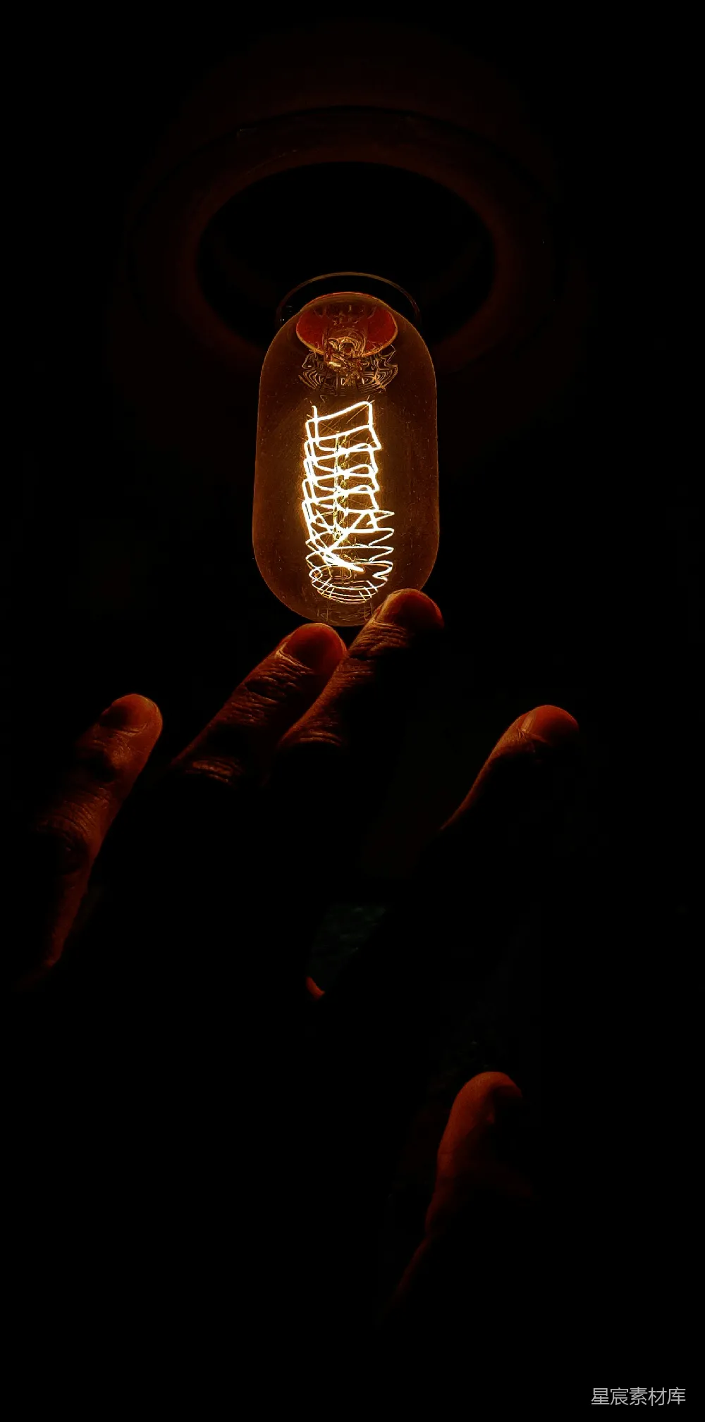 高清摄影  一只手在黑暗中握着一个灯泡。