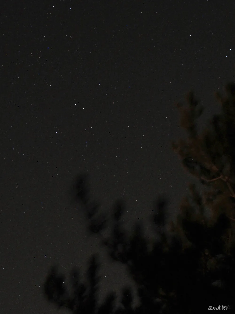 高清摄影  一个夜晚的天空，前景中有星星和树木。