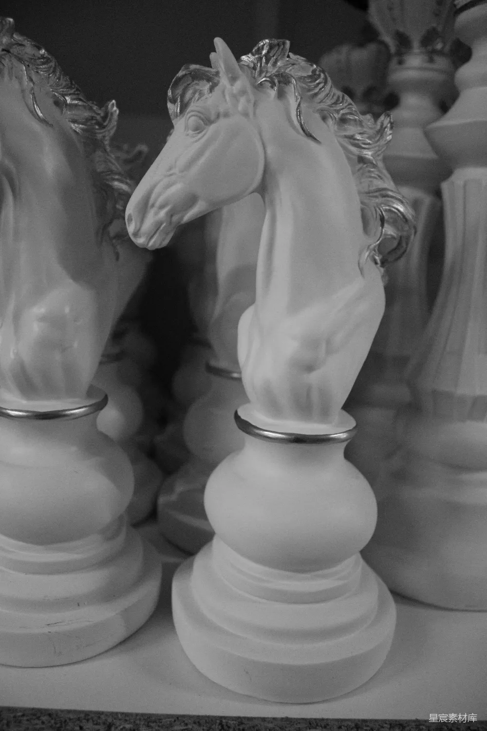 高清摄影  一张黑白照片，上面有一匹马头在棋盘上。
