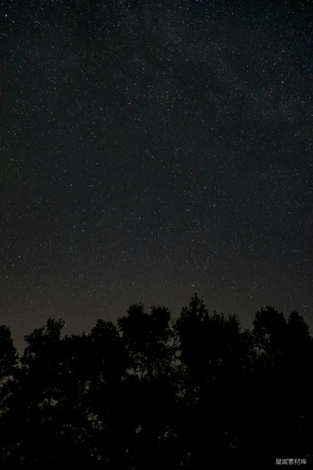 夜空低角度仰望