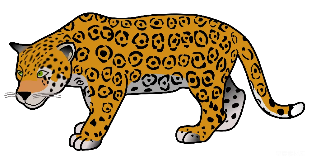元素素材 元素 jaguar