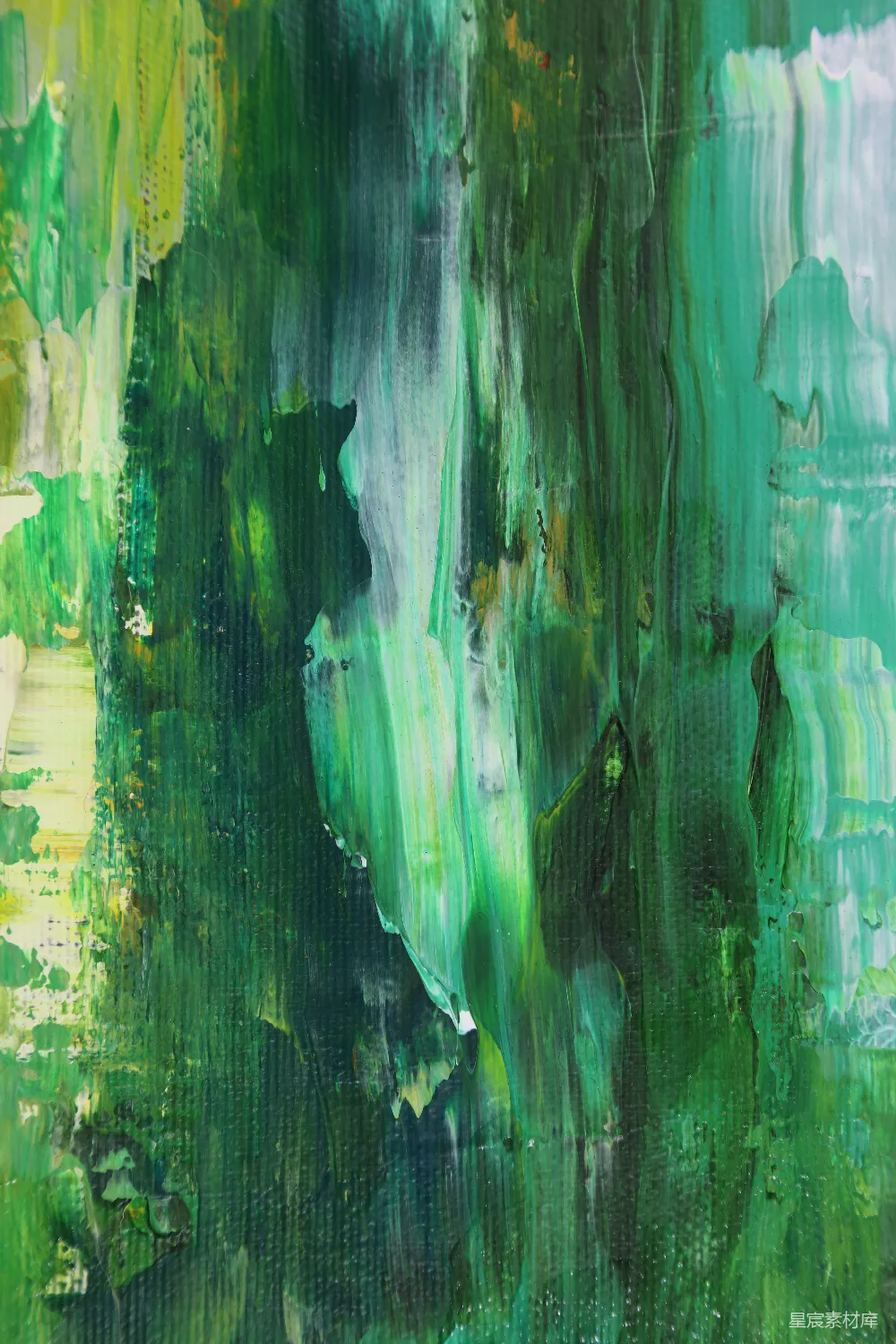 高清摄影  绿色和白色抽象画